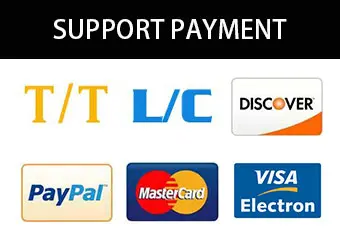 payment payment